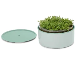 Anzucht-Set »Microgreens«
