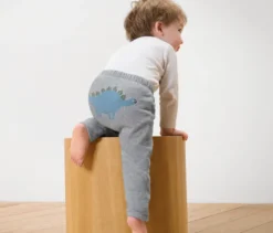 Baby-Sweathose, Dino