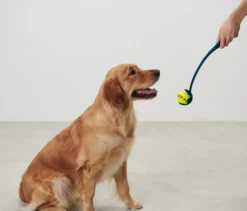 Ballschleuder