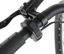 FISCHER City E-Bike CITA 2403 ACTIVE, Rahmenhöhe 43 cm