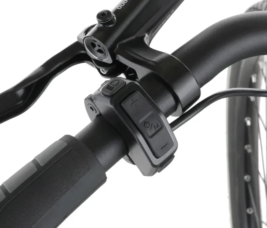 FISCHER City E-Bike CITA 2403 ACTIVE, Rahmenhöhe 43 cm