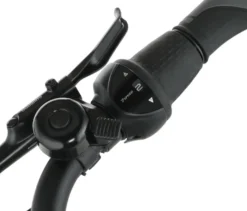 FISCHER City E-Bike CITA 2403 ACTIVE, Rahmenhöhe 50 cm