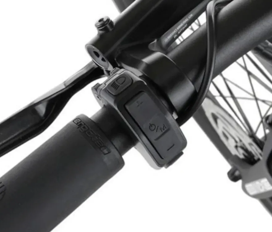 FISCHER Trekking E-Bike VIATOR 2.1 ACTIVE, groß, Diamant-Rahmen