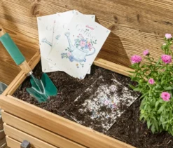 4 Glückwunschkarten mit Blumensamen