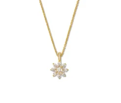 585 Gold-Kette mit 22 Brillanten, Stern