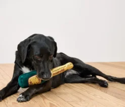 Hunde-Plüschspielzeug »Champagnerflasche«