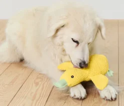 Hunde-Plüschspielzeug »Ente«