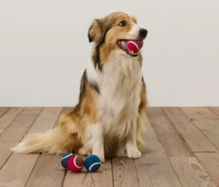 4 Hunde-Spielzeugbälle