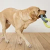 Hunde-Tau-Spielzeug