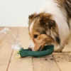 Hunde-Trinkflasche mit integrierter Trinkschale