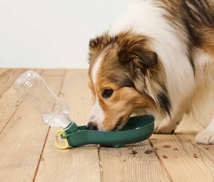Hunde-Trinkflasche mit integrierter Trinkschale