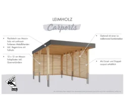 Karibu Doppel-Carport mit Seiten- und Rückwand