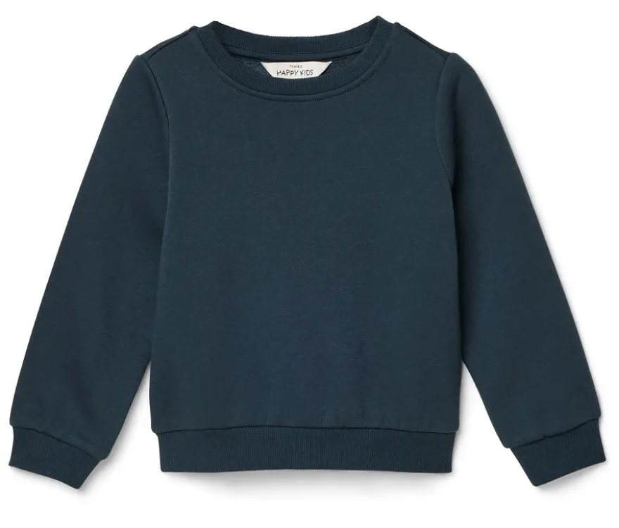 2 Kinder-Sweatshirts mit angerauter Innenseite, blau