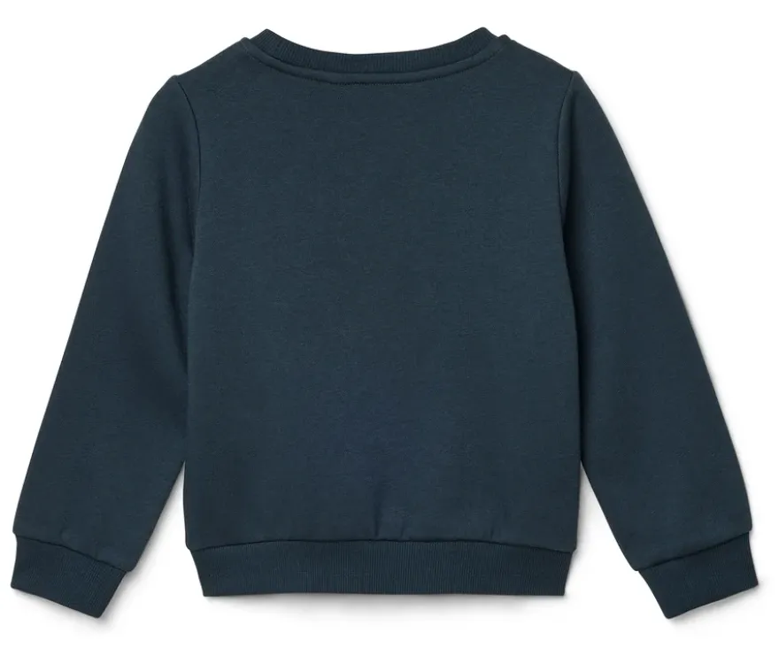 2 Kinder-Sweatshirts mit angerauter Innenseite, blau