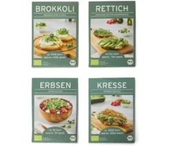 4 Microgreens-Klassiker