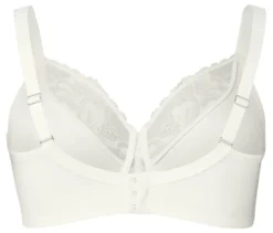Minimizer-BH, creme