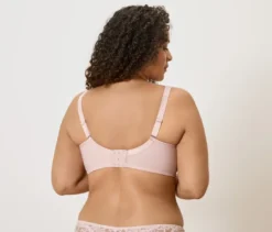 Minimizer-BH, rosa