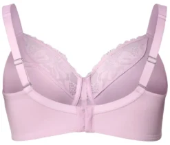 Minimizer-BH, rosa