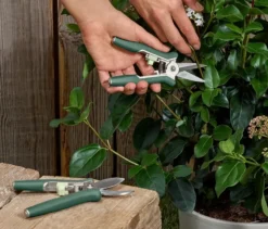 2 Mini-Pflegescheren