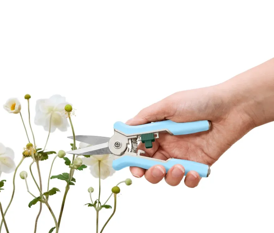 2 Mini-Pflegescheren