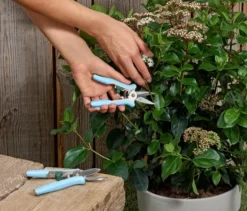 2 Mini-Pflegescheren