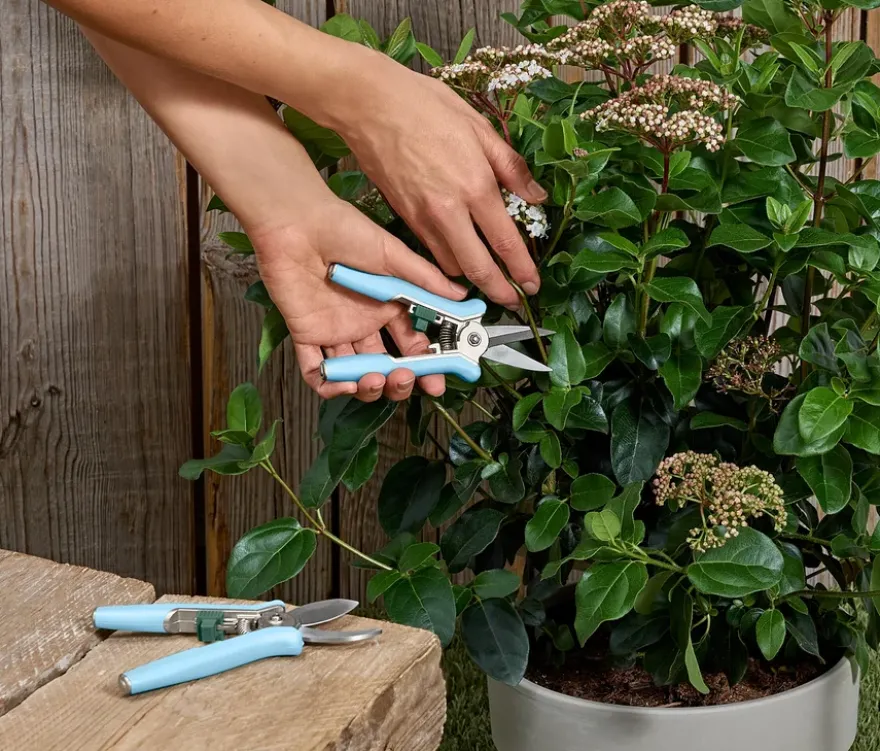 2 Mini-Pflegescheren