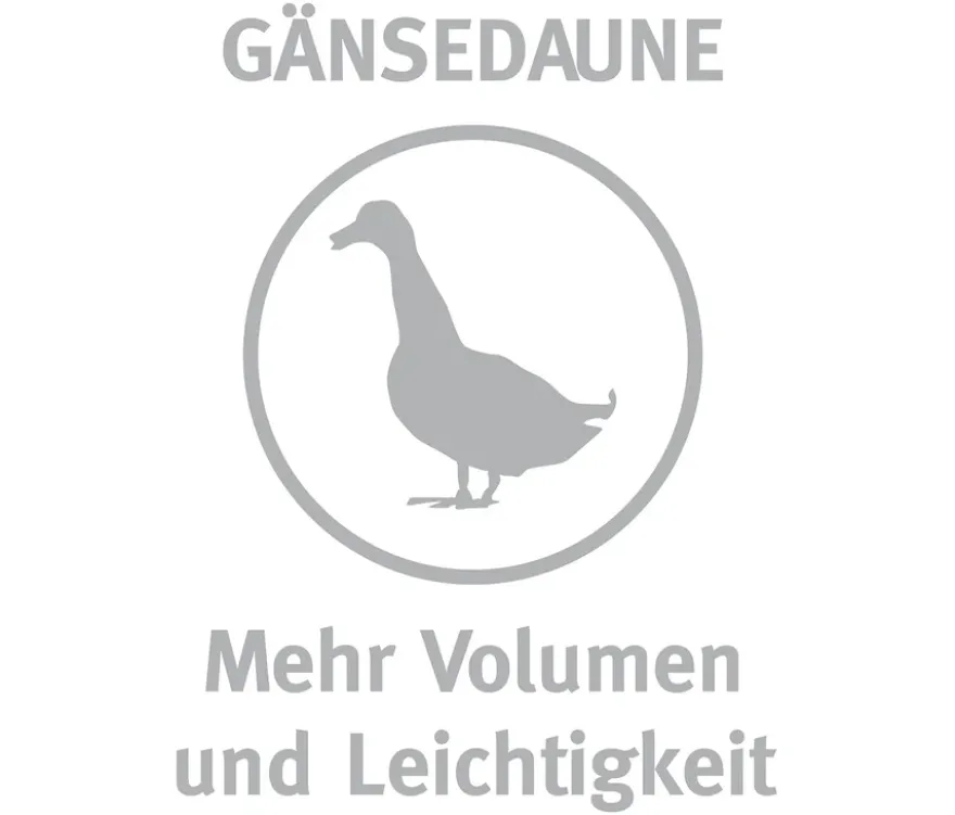 Paradies 3-Kammer-Daunenkissen »Eimsbüttel«, mittel, 40 x 80 cm