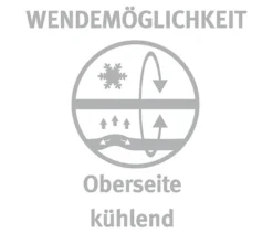 Paradies Kopfkissen »Softy BestCool«, ca. 80 x 80 cm