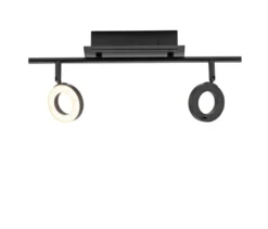 Paul Neuhaus LED-Deckenleuchte »Sileda«, klein