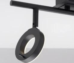 Paul Neuhaus LED-Deckenleuchte »Sileda«, klein