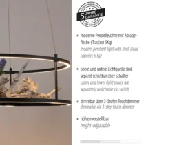 Paul Neuhaus LED-Pendelleuchte »CONNI«