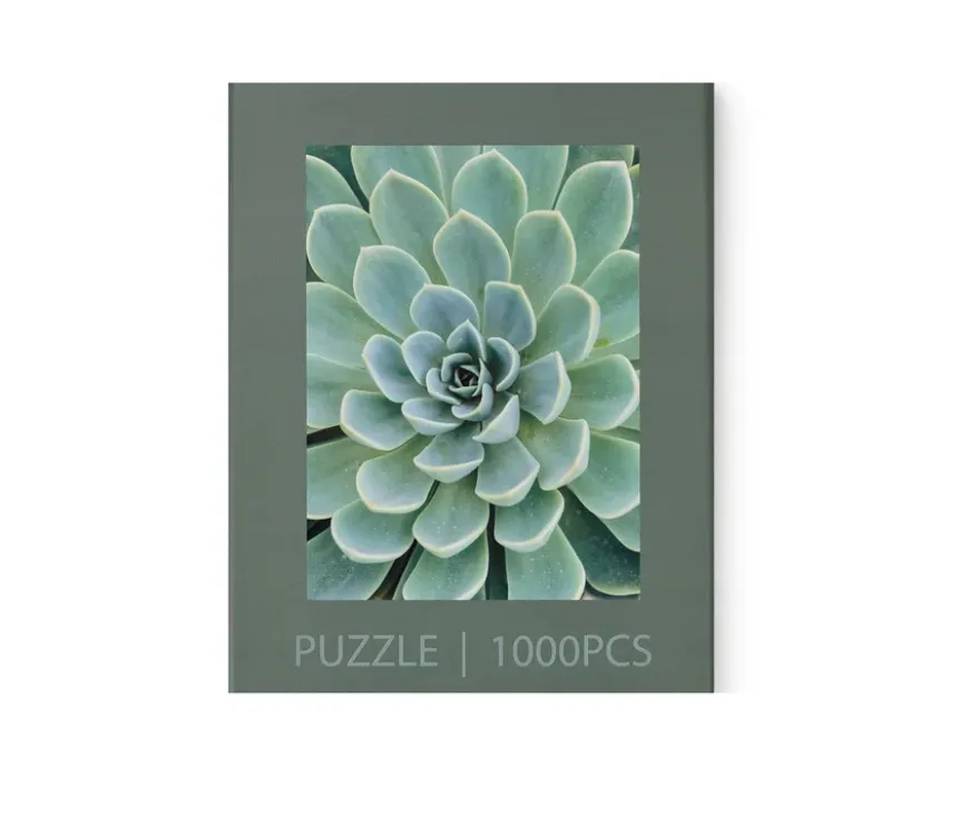 Puzzle »Sukkulente«
