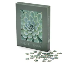 Puzzle »Sukkulente«
