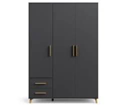 Rauch Drehtürenschrank »Shinjo«, 3-türig, 2 Schubladen, grau-metallic