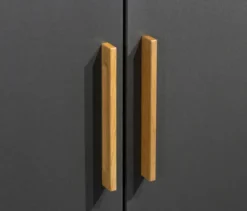 Rauch Drehtürenschrank »Shinjo«, 3-türig Premium-Ausstattung, graumetallic
