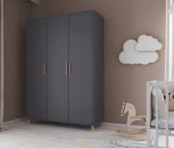 Rauch Drehtürenschrank »Shinjo«, 3-türig Premium-Ausstattung, graumetallic