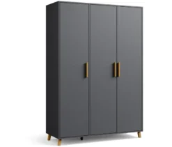 Rauch Drehtürenschrank »Shinjo«, 3-türig Premium-Ausstattung, graumetallic