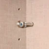 rauch Kleiderschrank »Scale«, 4-türig, Classic-Ausstattung, beige-champagnerfarben