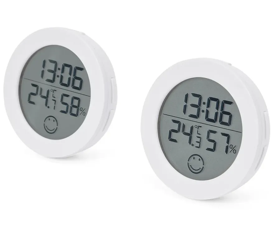 2 Raumthermometer