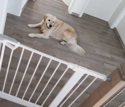 roba easySafe+ Tür-und-Treppen-Schutzgitter mit 7-cm-Erweiterung, weiß