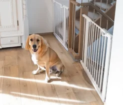 roba easySafe+ Tür-und-Treppen-Schutzgitter mit 14-cm-Erweiterung, weiß