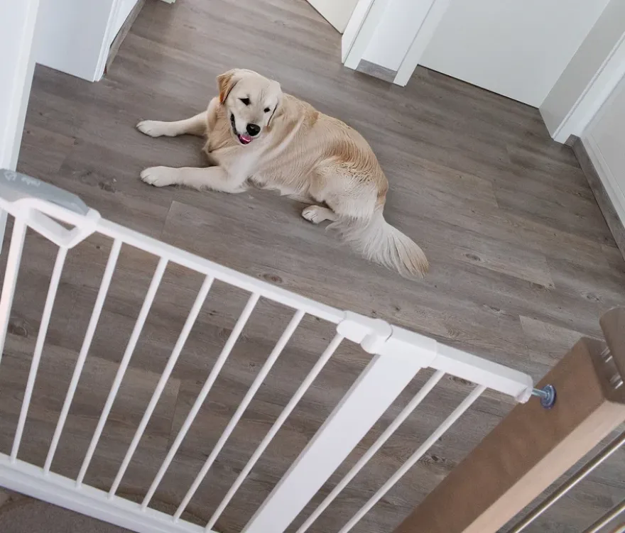 roba easySafe+ Tür-und-Treppen-Schutzgitter mit 14-cm-Erweiterung, weiß