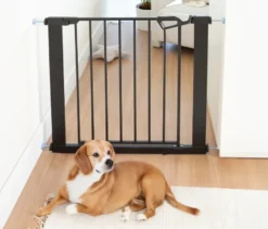 roba easySafe+ Tür-und-Treppen-Schutzgitter mit 7-cm-Erweiterung, schwarz
