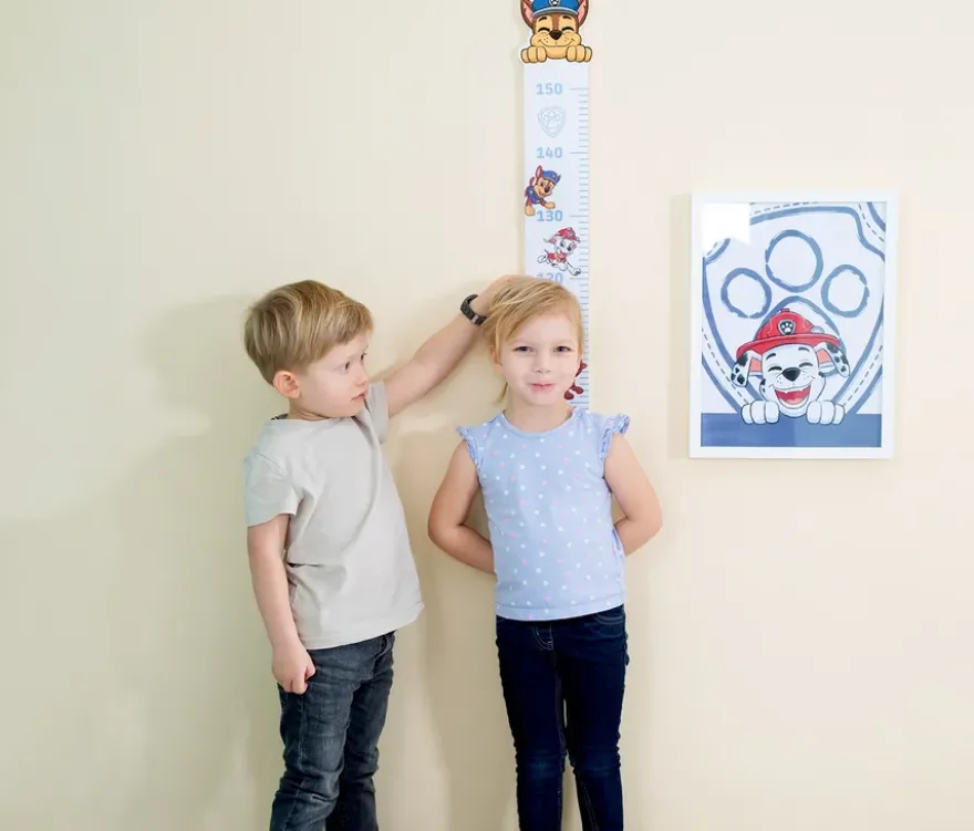 Roba Messlatte »Paw Patrol«