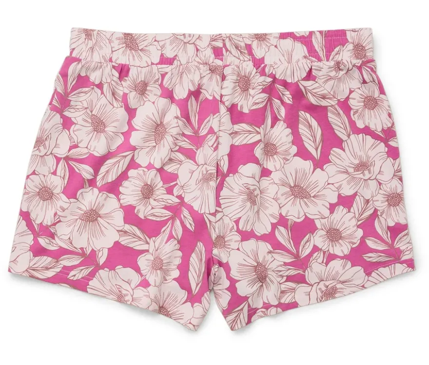 2 Shorts