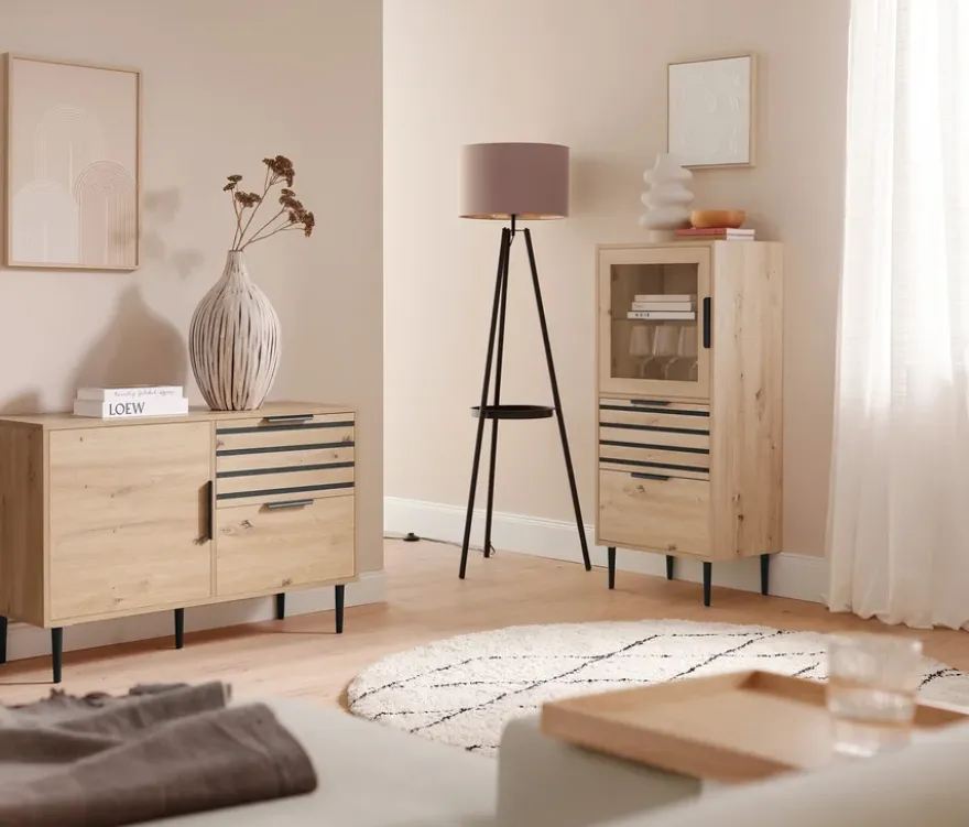 Sideboard »BAAKEN« mit 2 Schubladen und Tür