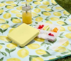 Snacktray To-Go