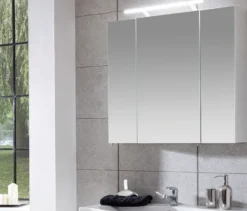 Spiegelschrank »Dorina« mit Licht, 80 cm