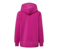 Sweatpullover mit Kapuze