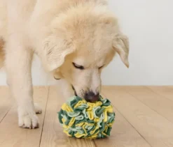 Tier-Schnüffelball